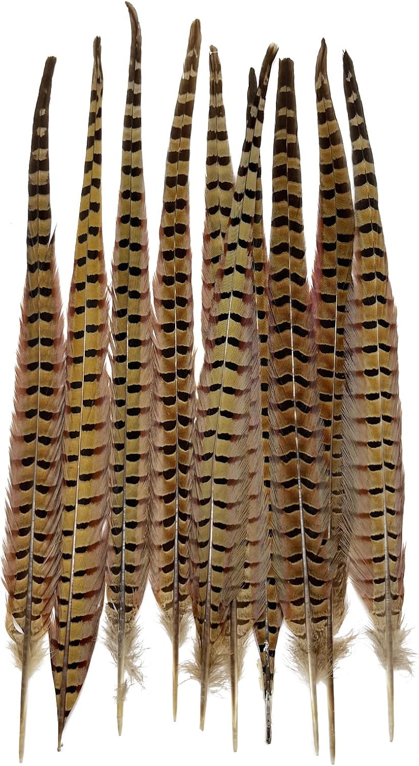 10pcs Natural Pheasant Tail Feathers for Floral Arrangements 16-18 Inch, Decorative Feathers for Vase, Bouquet, Crafts, Hats