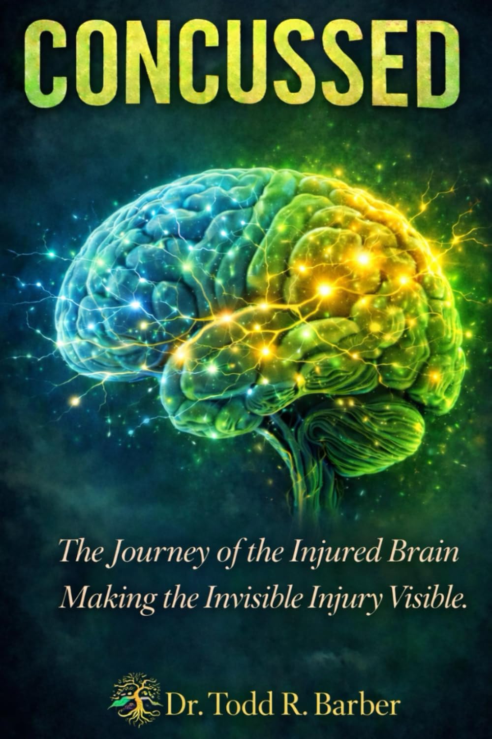 Concussed: Making the Invisible Injury Visible-A guide for those learning to listen to the injured brain and trust the process of recovery