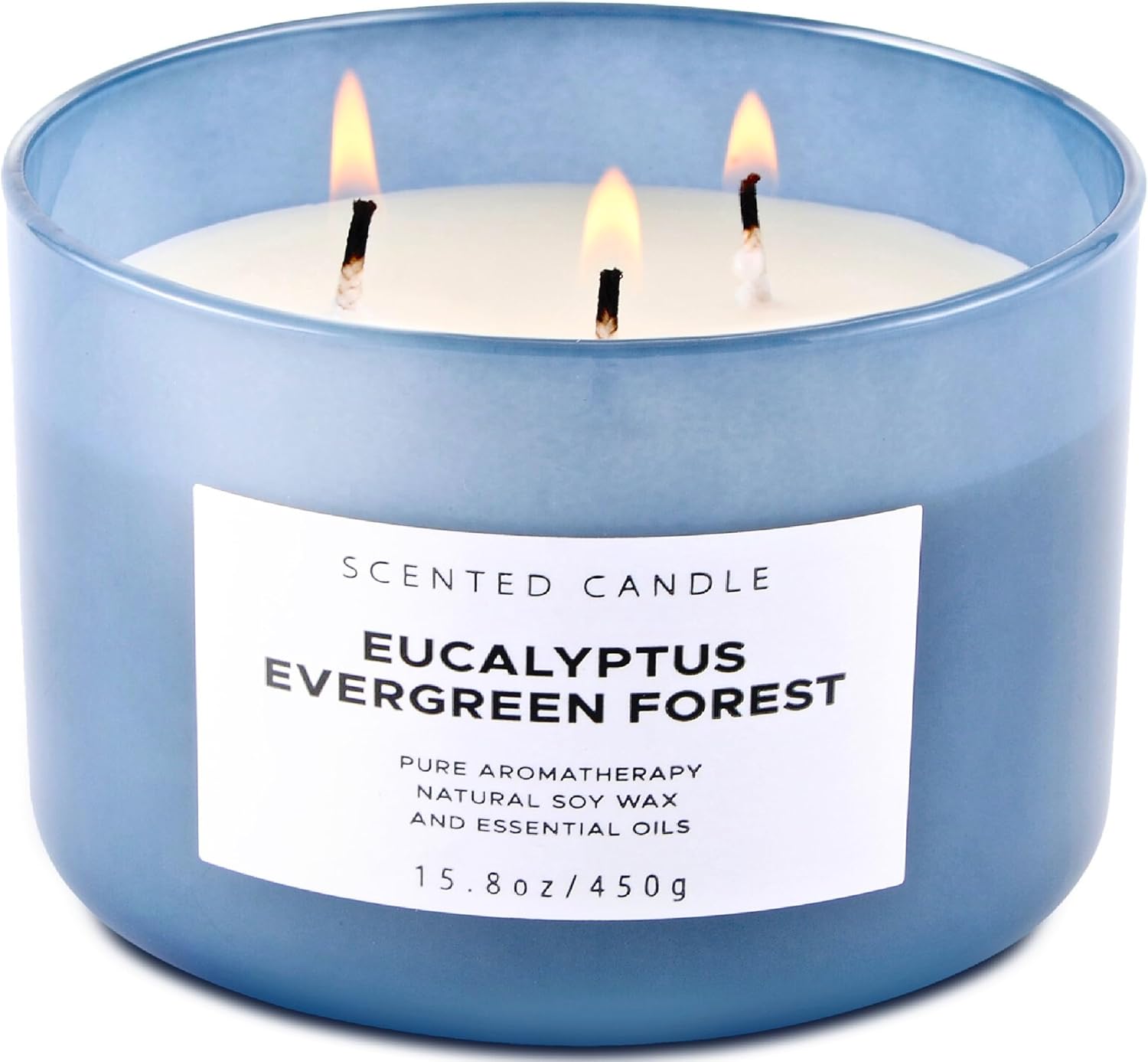Eucalyptus Evergreen Forest 3 Wick Scented Candle | Luxury Soy Candles for Home | Relaxing Aromatherapy Stress Relief Candle 15.8 oz | Clean Burn Long Lasting Balsam Fir Woods Candles for Men & Women