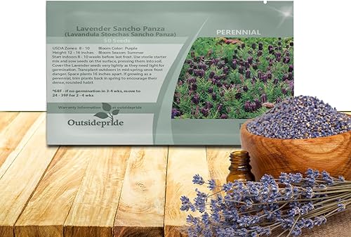 outsidepride LavandaSancho Panza Púrpura
