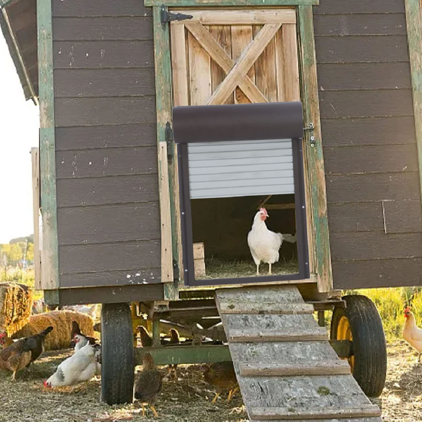 ciciglow Puerta Automática de Gallinero, Abridor de Puerta de Gallinero Automático Eléctrico, Puerta Avícola Automática Alimentada por Batería con Adaptador de Corriente, (Marrón)