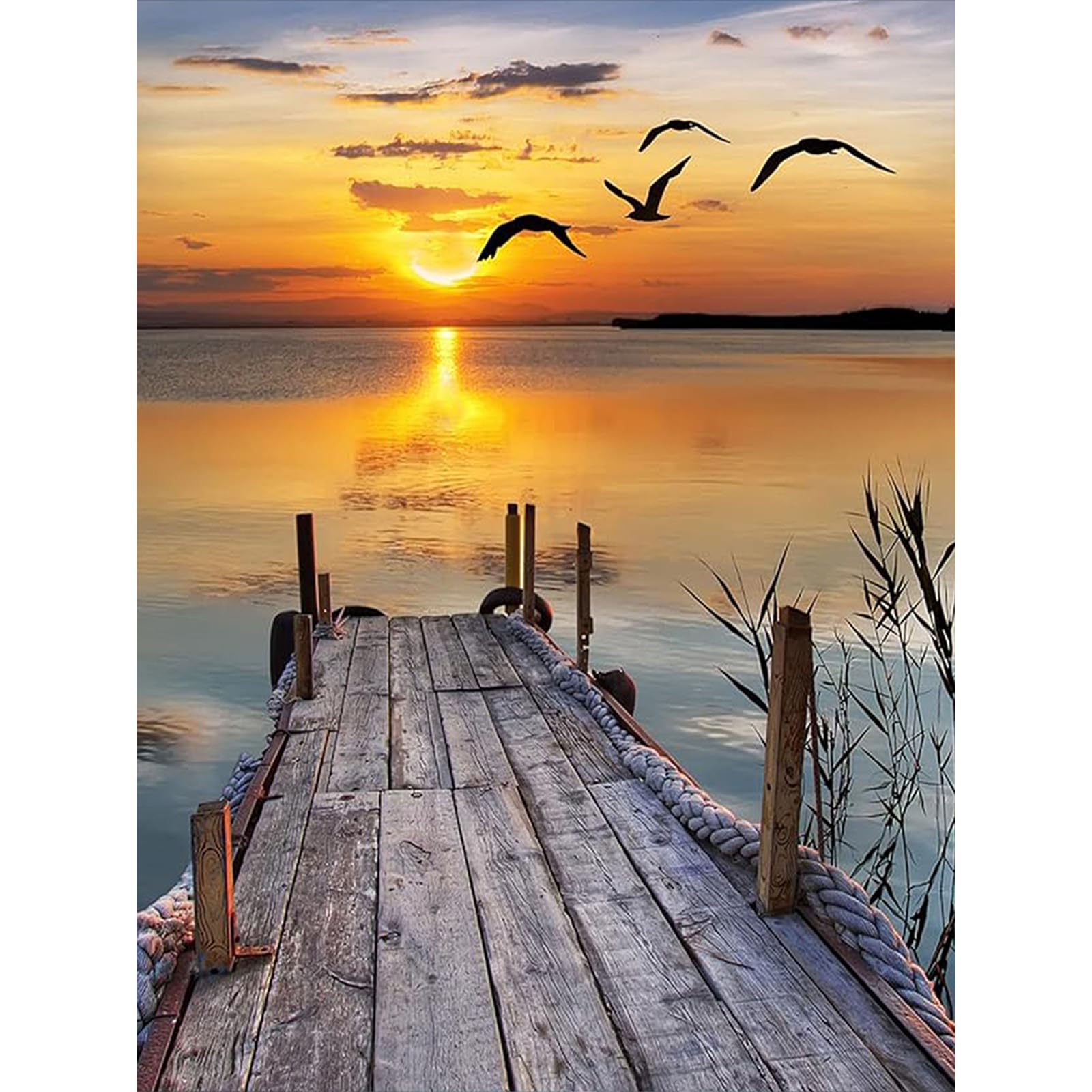 Fountor Sunset Diamond Art Kits Adults Beginner, Lake Diamond Painting Kits for Adults, Landscape 5D DIY Gem Art Kit for Home Wall Decor 30x40 cm