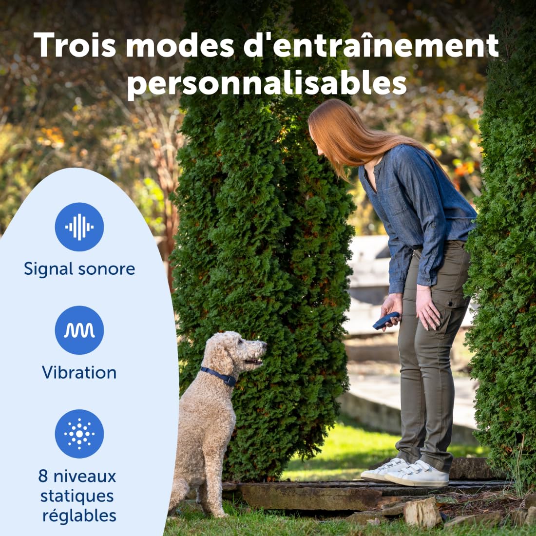Dresseur de Chiens de Base PetSafe avec télécommande – Collier de Dressage étanche – 90 mètres de portée – Signal sonore, Vibration et 8 Niveaux de Stimulation Statique