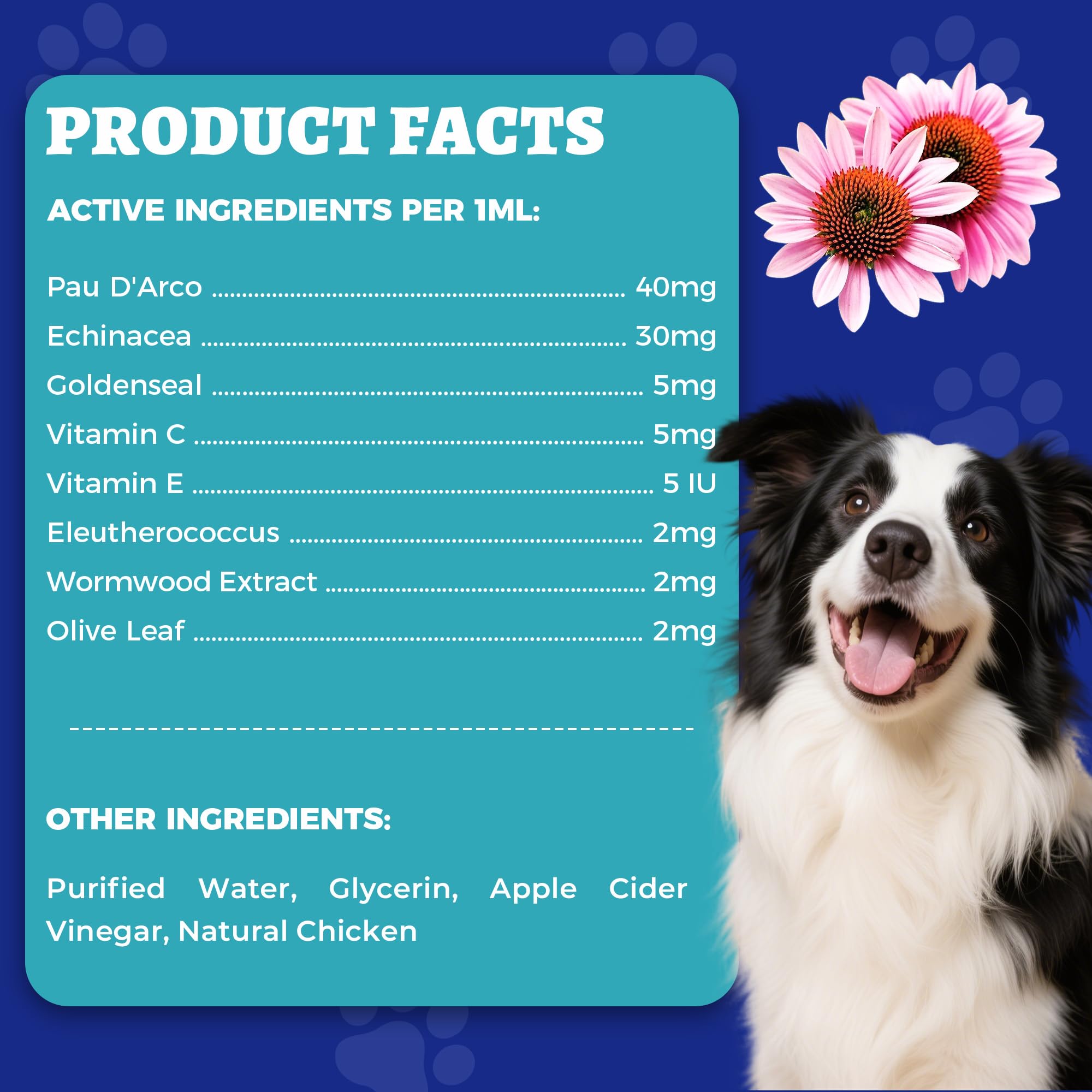 Wellix 120ml Natural Antibiotics for Cats & Dogs, Wound Care & Cold Relief — Amazon image 9