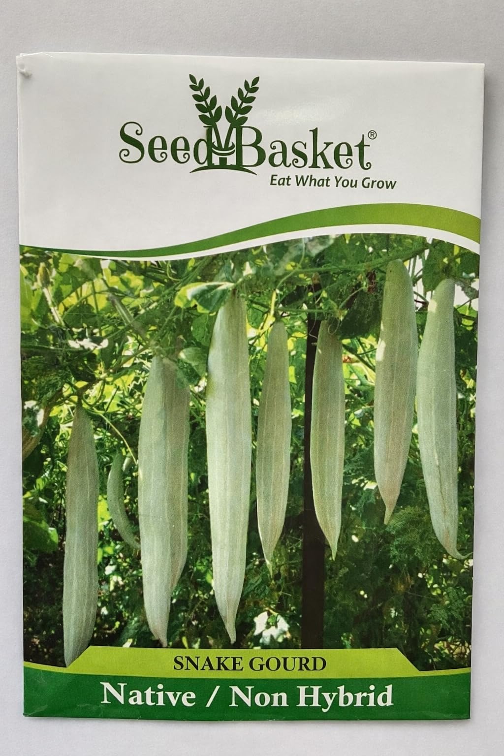 Seed basket Native/Desi Snake Gourd(Small) Vegetable Seeds For Home Gardening | 12 Seeds | Best in Germination | With Growing Instruction Manual (Pack Of 1)-image-33