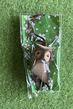 Amazon.co.jp: 昆虫標本キーホルダー 標本 昆虫 虫 剥製 7点