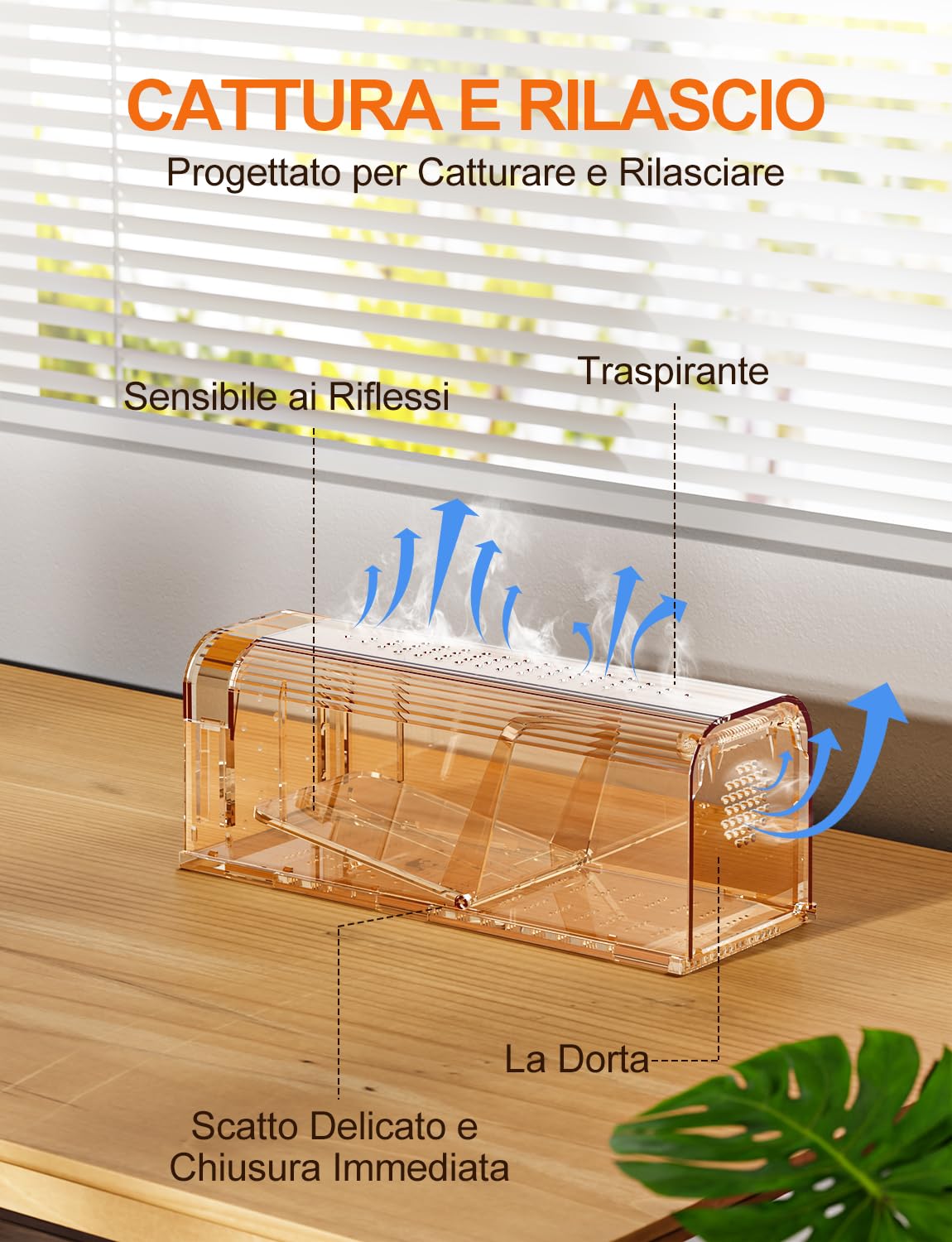 TAKRINK Trappola per Topi, Trappole Topi Umanitaria, Set di 2 Trappola Viva Riutilizzabile per Topi e Piccoli Roditori, Non Tossica, Facile da Pulire per Casa, Giardino, Garage Color caffè