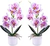 XONOR Artificial Orchid Flowers, 2 Pieces Potted Orchid Flowers with Plastic Vase for Table Centerpiece Home Decor Office Wedding Party Decoration
