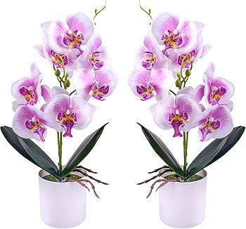 XONOR Artificial Orchid Flowers, 2 Pieces Potted Fake Orchids with Plastic Vase for Table Centerpiece Home Decor Office Wedding Party Decoration