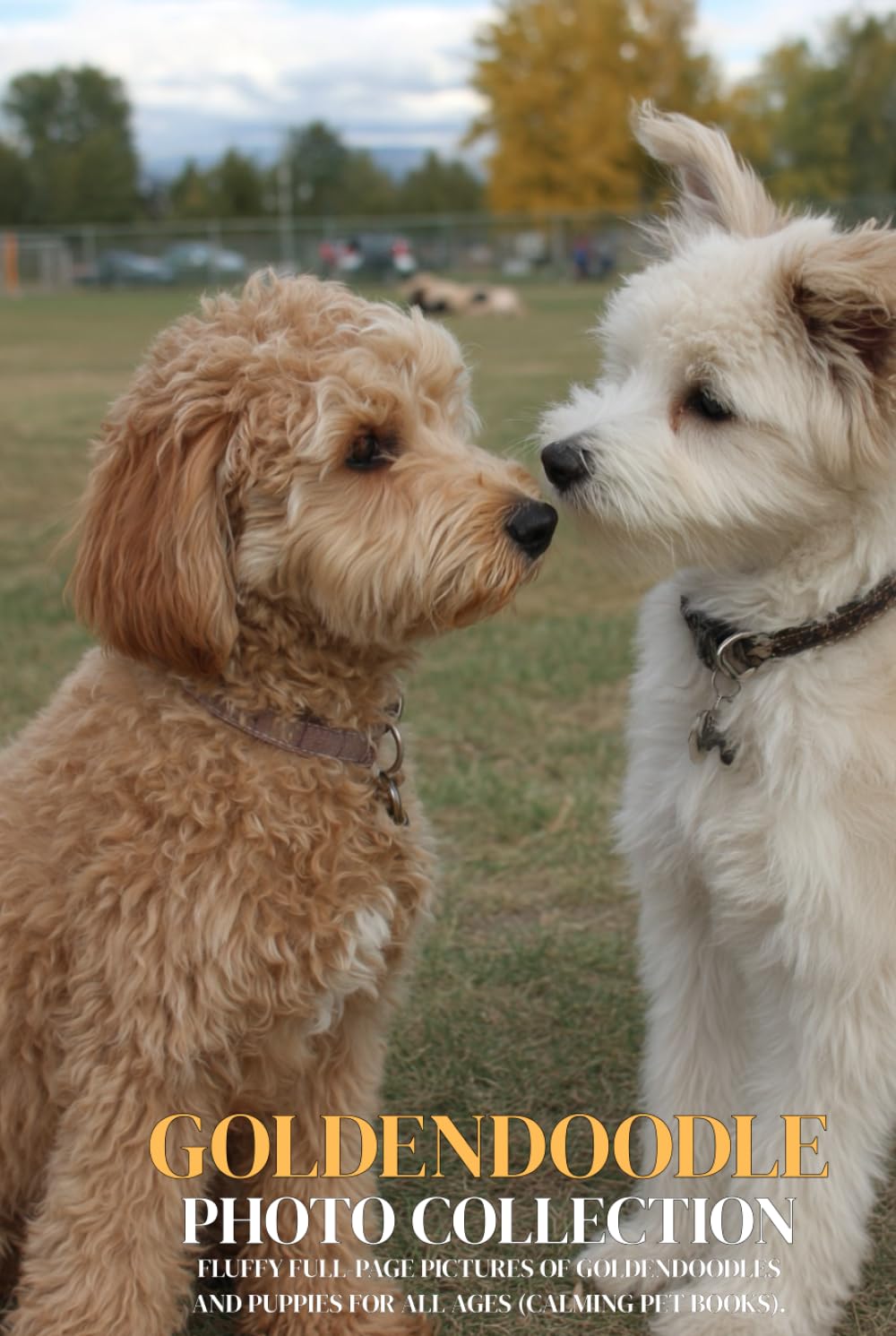 Goldendoodle Photo Collection: Fluffy Full-Page Pictures of Goldendoodles and Puppies for All Ages (Calming Pet Books).