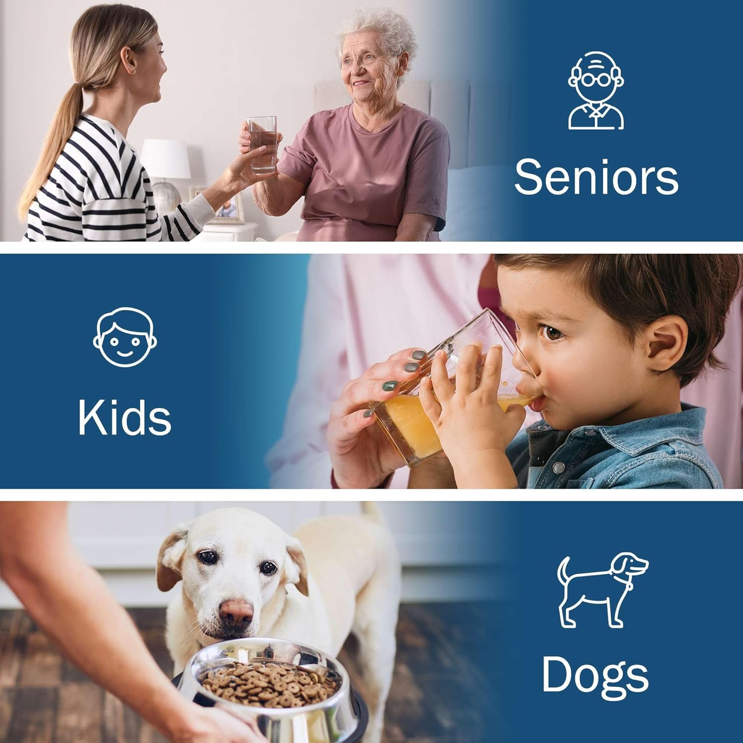 Hospital Grade Pill Crusher - 1 Pill Crusher Grinder for Fine Powder - for Home, Hospitals, and Nursing Homes