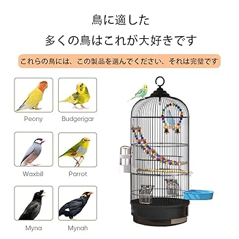 小鳥飼育セット　ヒートセラミック60w バードゲージ30 虫かご　給餌セット 71CILPjxmPL._UF350,350_QL50_.jpg