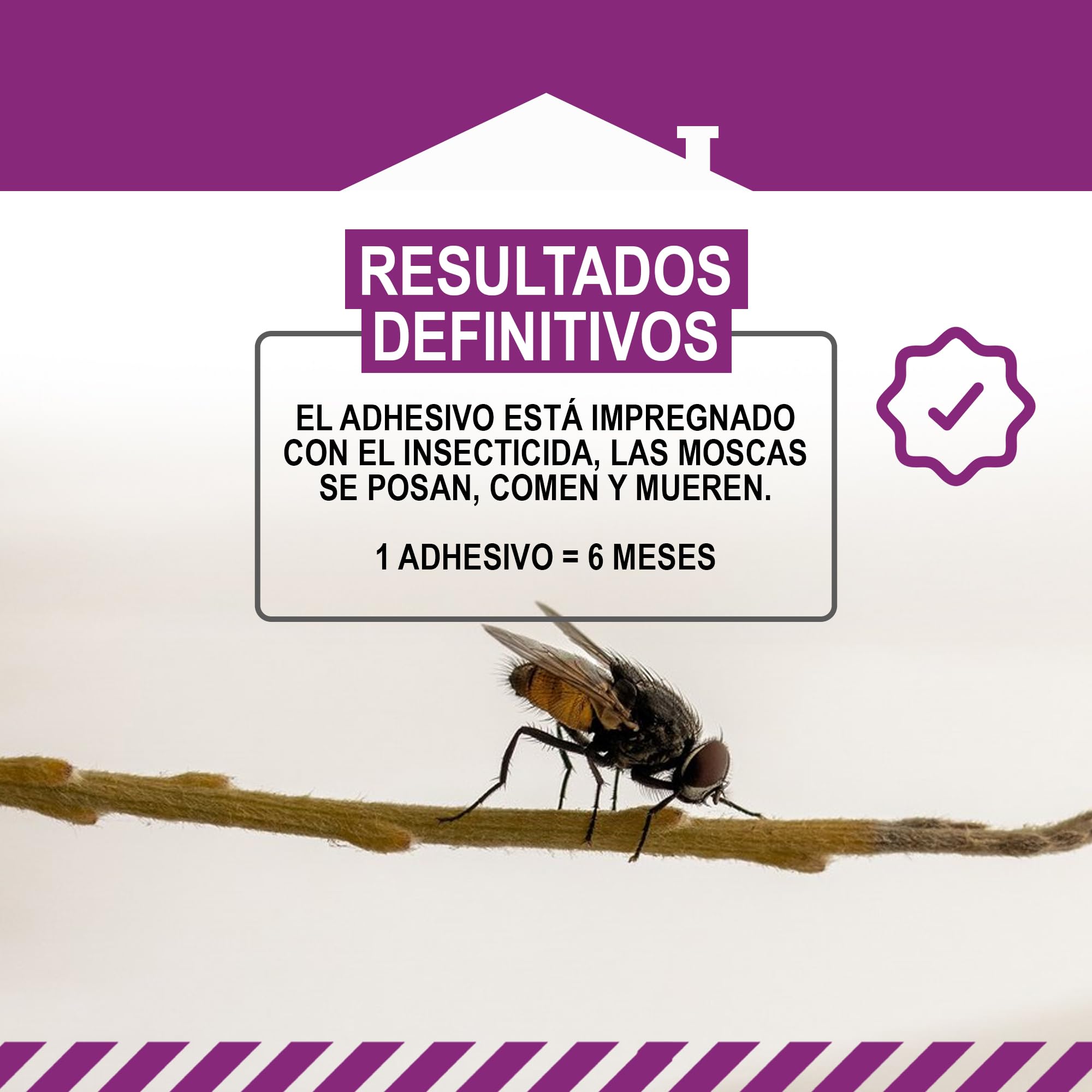 MASTERLAC - Insecticida Moscas Adhesivo-Flor - 4 Uds - Insecticida Decorativo Ventanas - 1 Adhesivo Protege 6 Meses - las Moscas Mueren Lejos de la Trampa - con Dinotefurán - Eficacia Total sin Olores