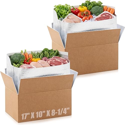Henoyso 2 Pcs 17" X 10" X 8-1/4" Insulated Cold Shipping Boxes for Frozen Food with Aluminum Foil Liner Insulated Bag Thermal Cooler Cold Pack Boxes