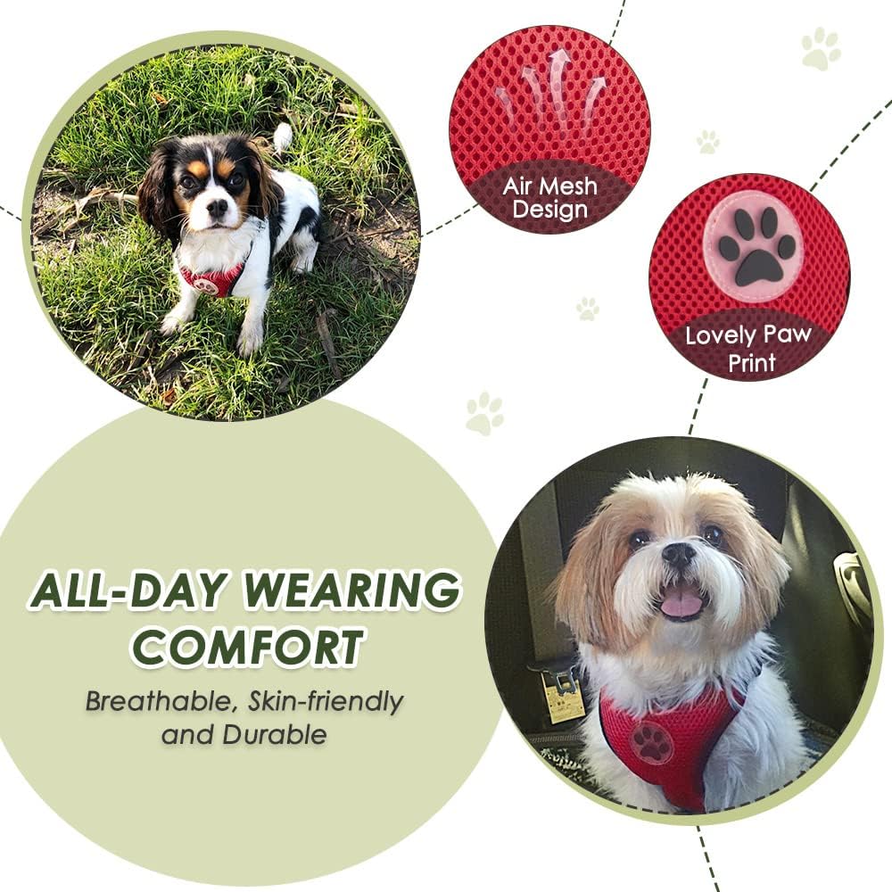 SlowTon Dog Car Harness Seat Belt Set, Dog Vest Harness for Car Adjustable Mesh Breathable & Vehicle Safety Seatbelt Tether with Elastic Bungee for Small Medium Large Size Dogs Puppy Cats (Red,M) : Pet Supplies
