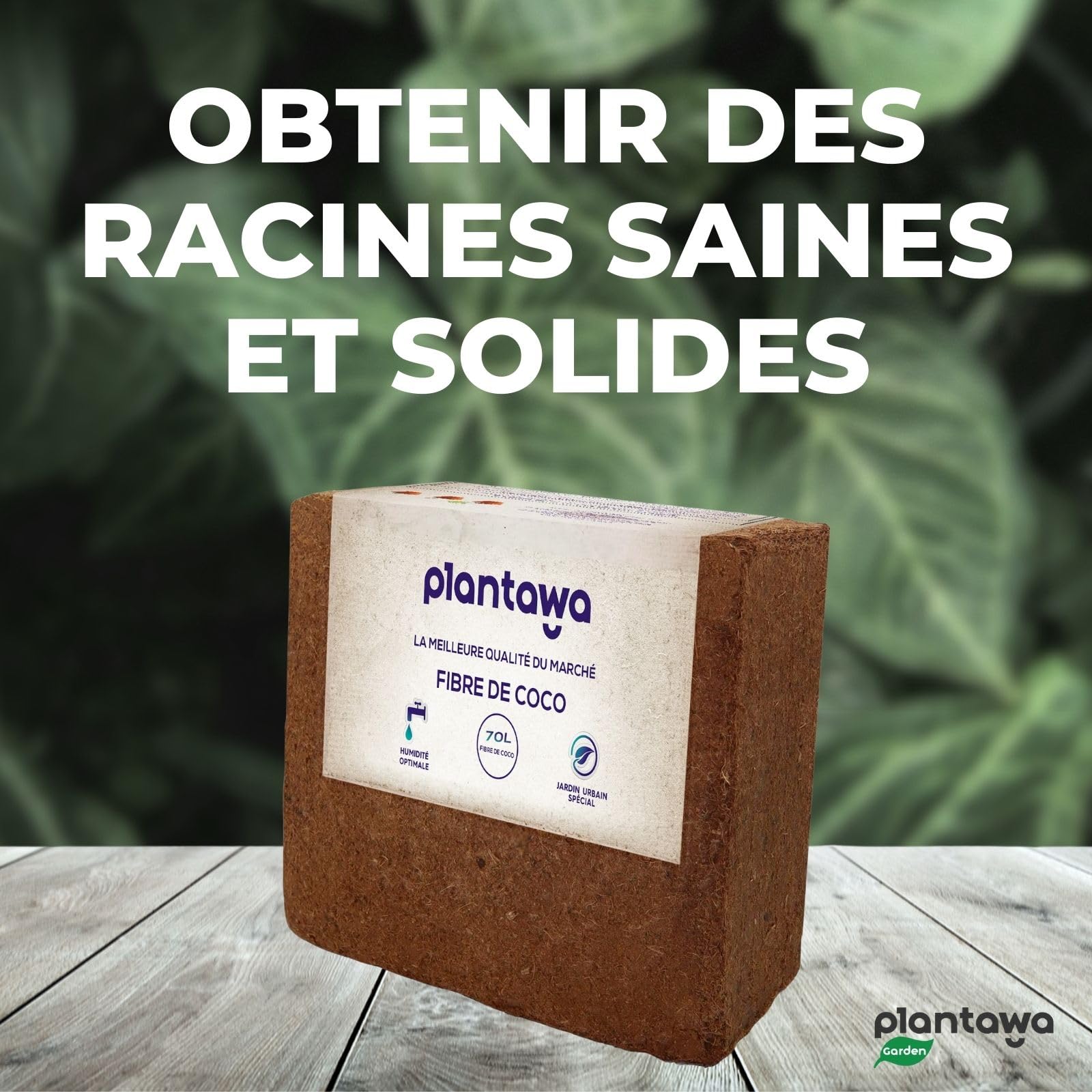 PLANTAWA Fibre de Coco Organique Bloc 5 kg 70 l – Brique compacte – Terre pour Plantes – Utilisation de Potager Urbain terriaire pour Plantes extérieures Turba pour Pots de Fleurs