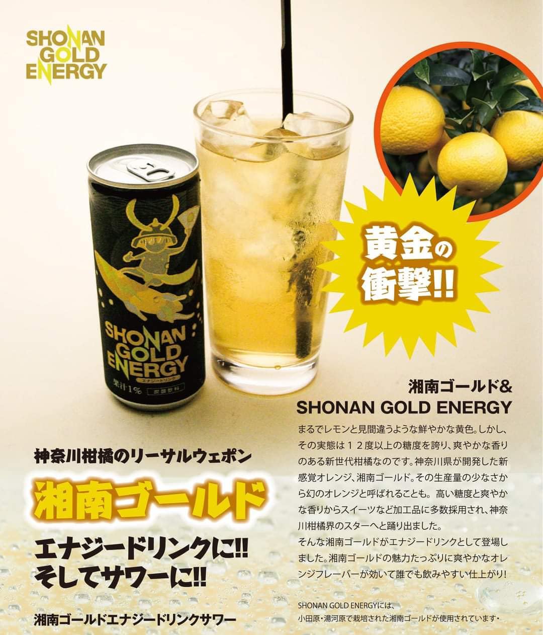 ohana様　湘南ゴールド Amazon.co.jp: 湘南ゴールドエナジードリンク 250ml x 6 王道系