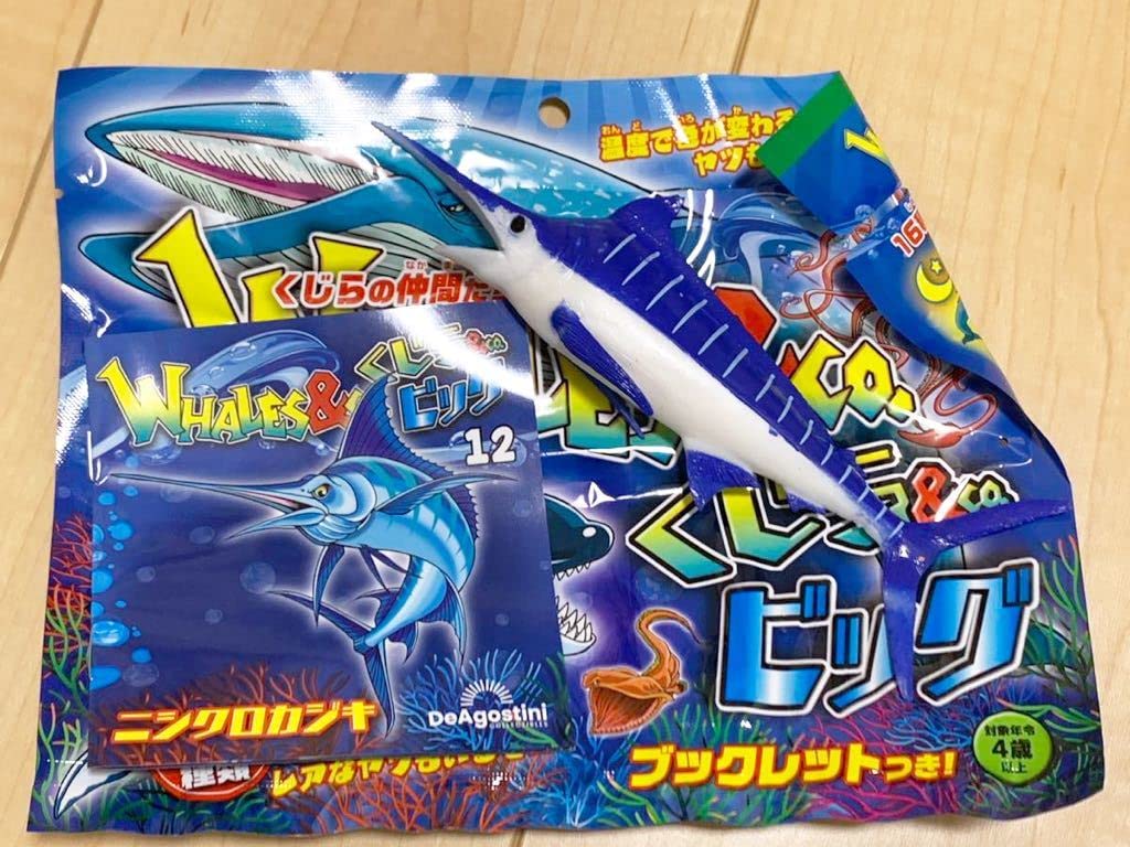 Amazon.co.jp: くじら&Co. WHALES&Co. ビッグ ニシクロカジキ くじら 