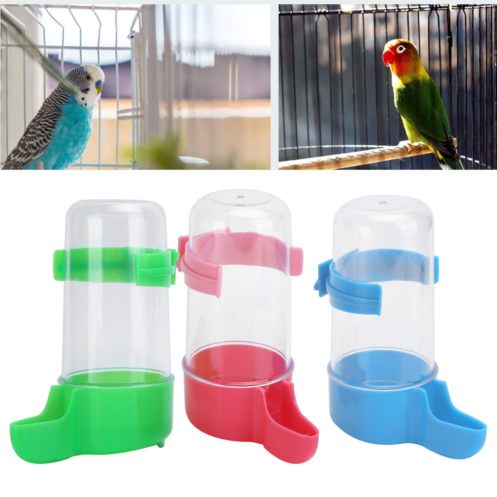 Mangiatoia E Bevitore Automatico Per Uccelli - Set Con Posatoio Per Gabbie Di Pappagallini, Canarini E Cocorite (Verde)