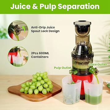 Cold Press Juicer, 300W Slow Masticating Juicer Machines, Cold Pressed Juicer Machines Large Feed Chute Fit Whole Fruits & Vegetables, Reverse Function, Easy to Clean with Brush