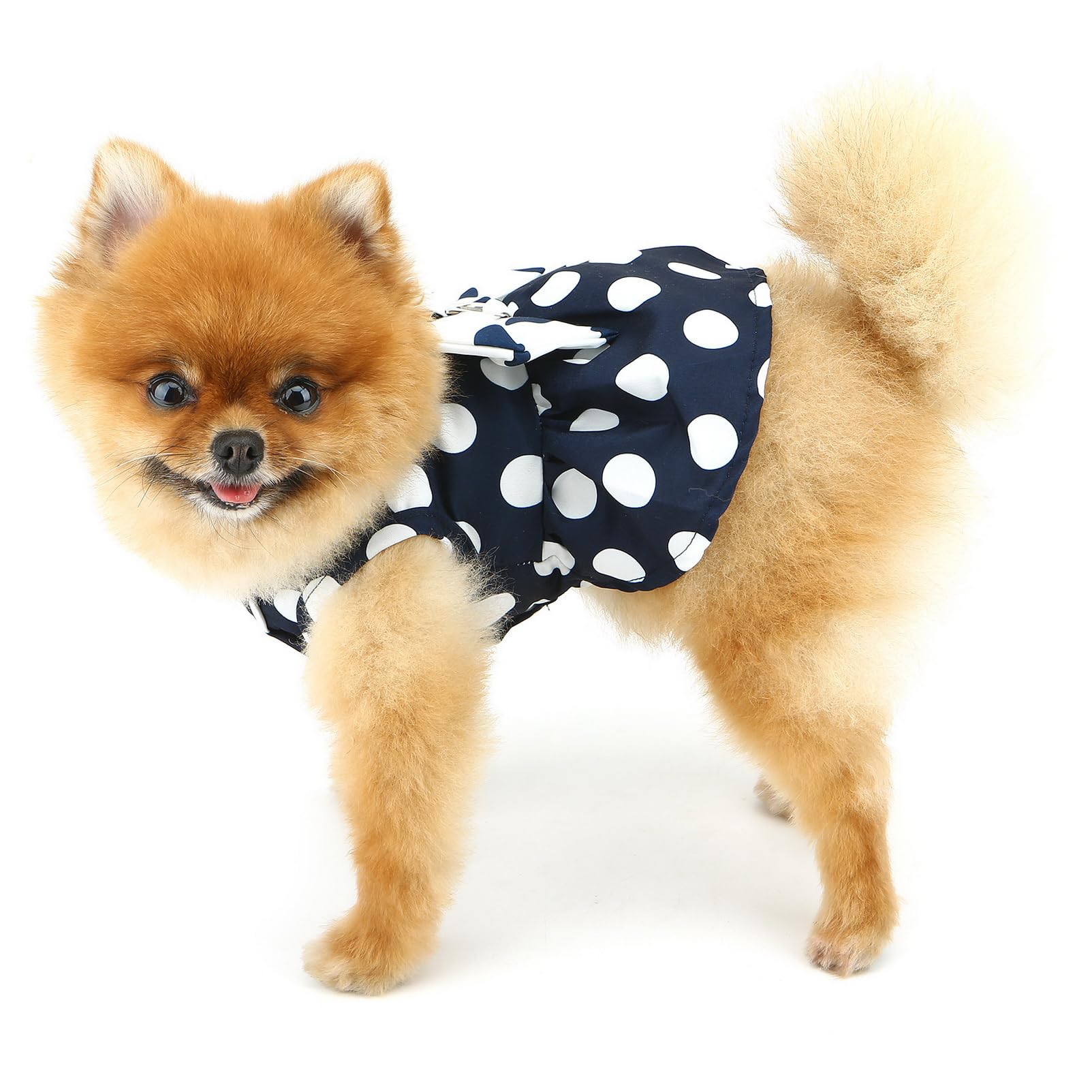 SMALLLEE_LUCKY_STORE Robe harnais à pois pour petit chien et fille – Robe harnais avec anneau en D et nœud – Vêtement respirant pour animal domestique – Vêtements pour chihuahua, yorkshire, chat,