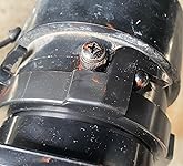 Review Image by horiznloop