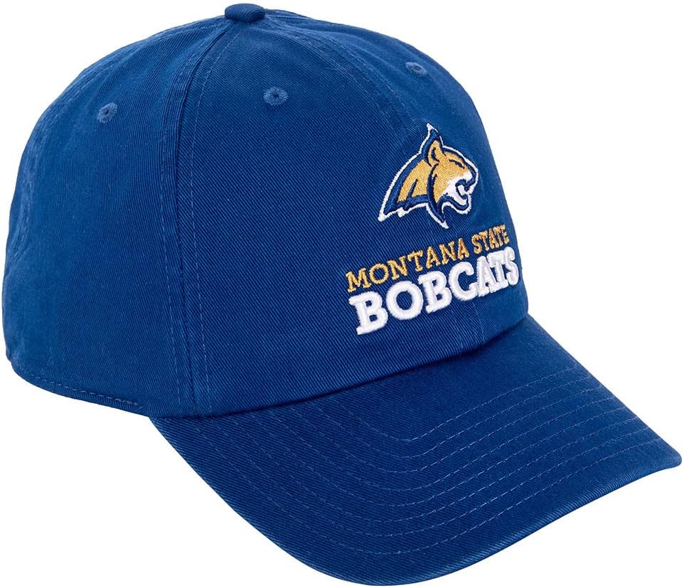 Desert Cactus Montana State University Baseball Hat Bobcats MSU Brimmed Embroidered Hats Cap Adjustable Cloth Strap Adult (Style C) Blue