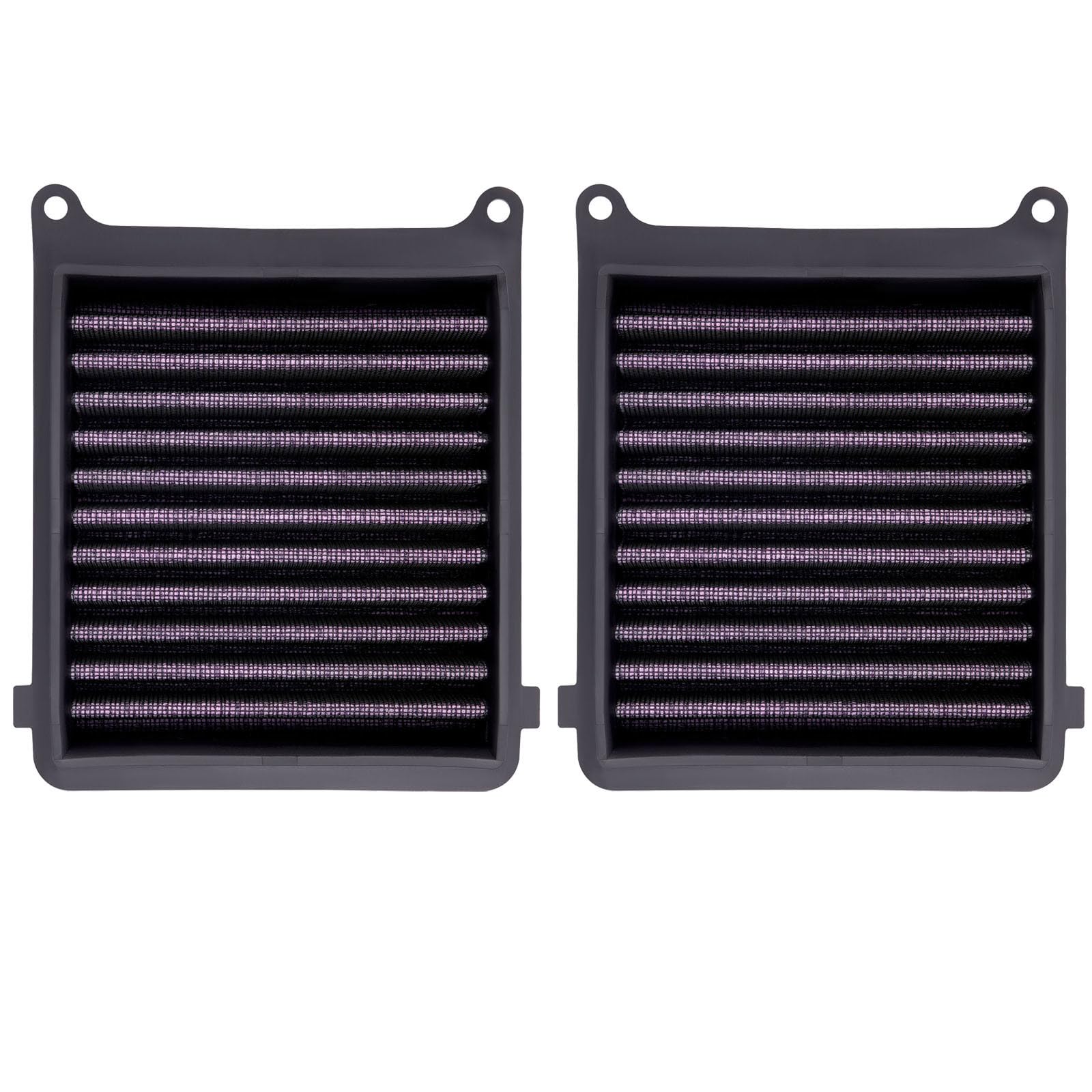 Road Passion Filtro de Aire17210-MKS-E00 Compatible con Honda CRF1100 LA Africa Twin Adventure Sports ES ABS EERA 2024 /CRF1100 LD Africa Twin Adv Sports DCT ABS 2L 2020 /CRF1100 LA 2019-2025 (2 PCS)
