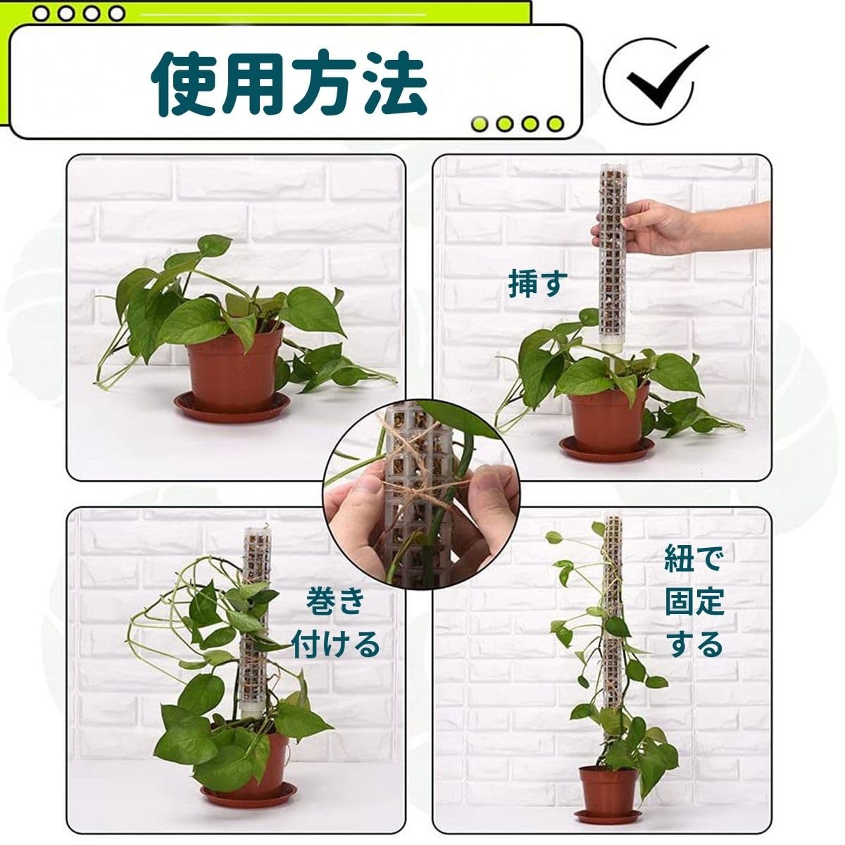 Amazon | モスポール 支柱 連結可 観葉植物 用 6本セット 園芸 支柱