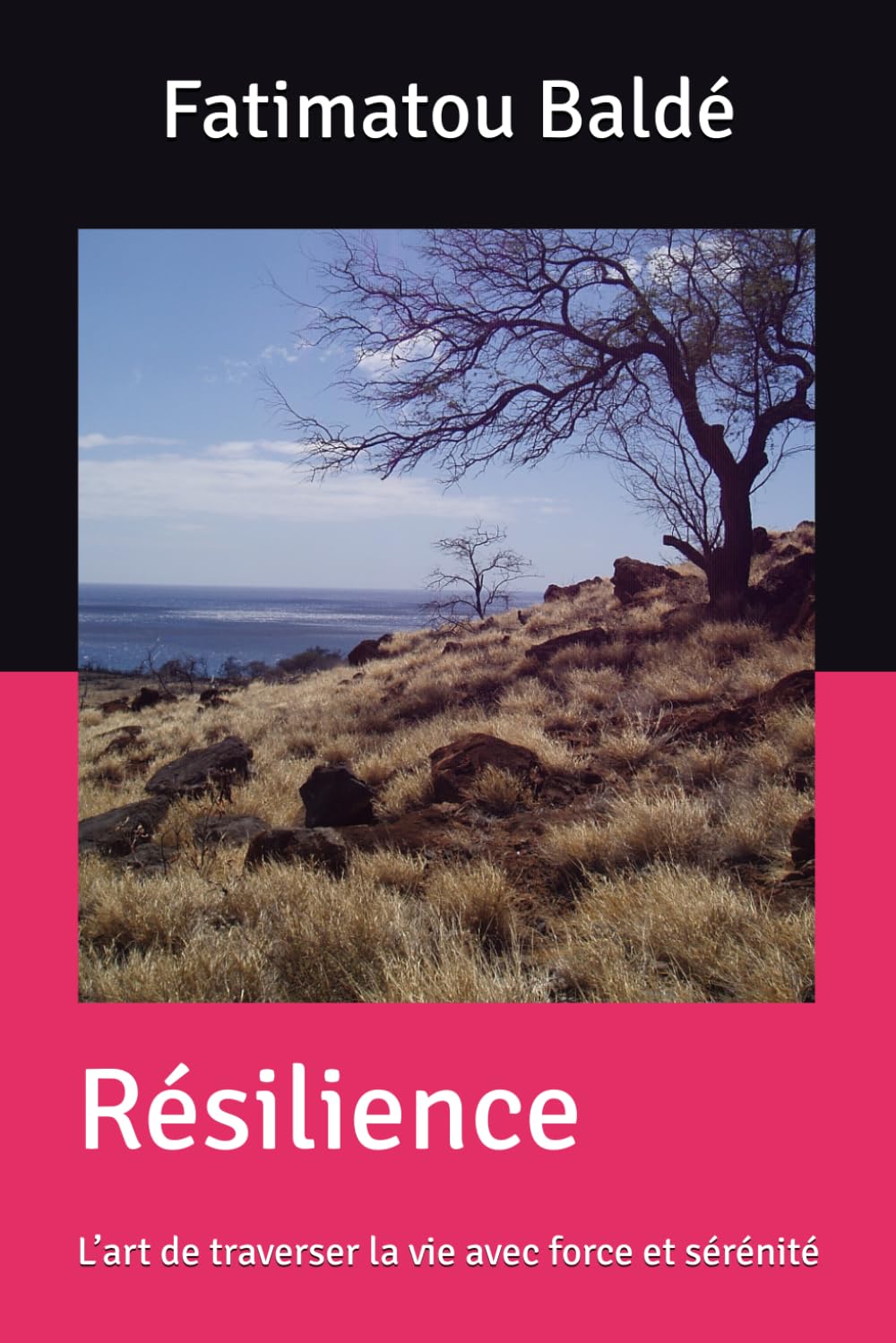 Résilience: L’art de traverser la vie avec force et sérénité