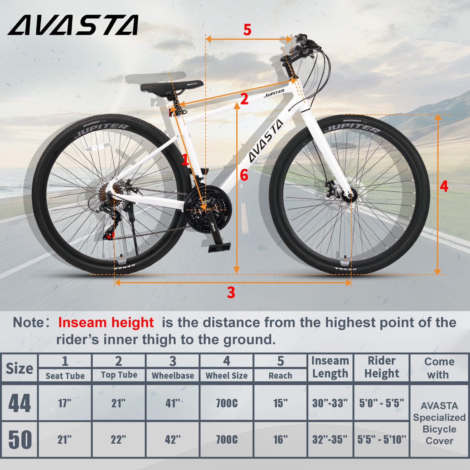 AVASTA Vélo De Course Adulte 21 Vitesses – Cadre Aluminium, Fourche Rigide, Freins à Disque, Tailles 44 Et 50 Cm