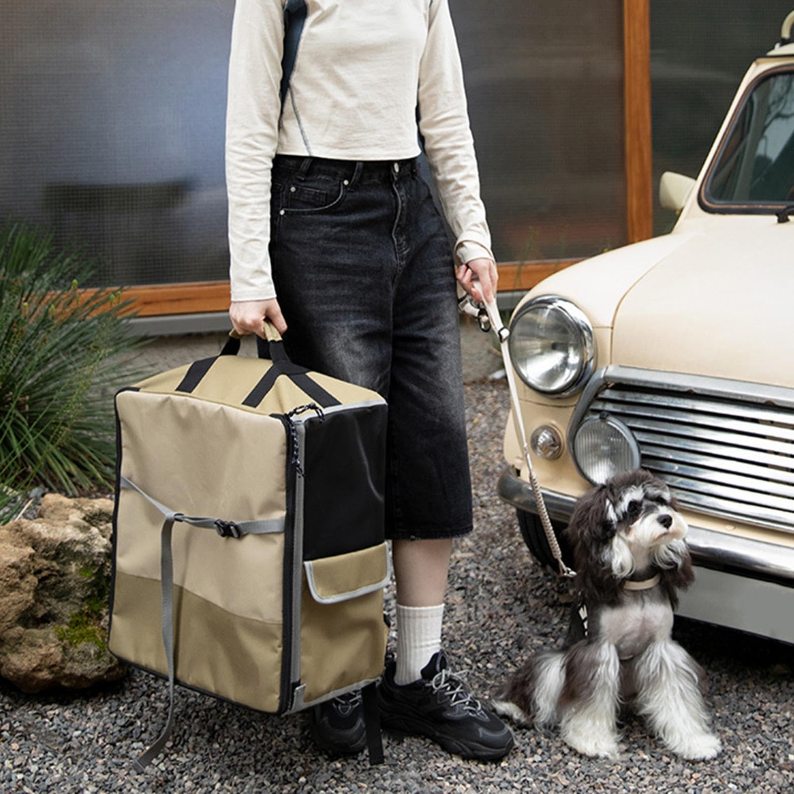 Seggiolino Auto per Cani Trasportino Convertibile Animali | Seduta Rialzata per Cani Lavabile Rimovibile Traspirante a Rete Adatto A Gatti, Cuccioli E Razze Piccole, Viaggio, Veicolo,