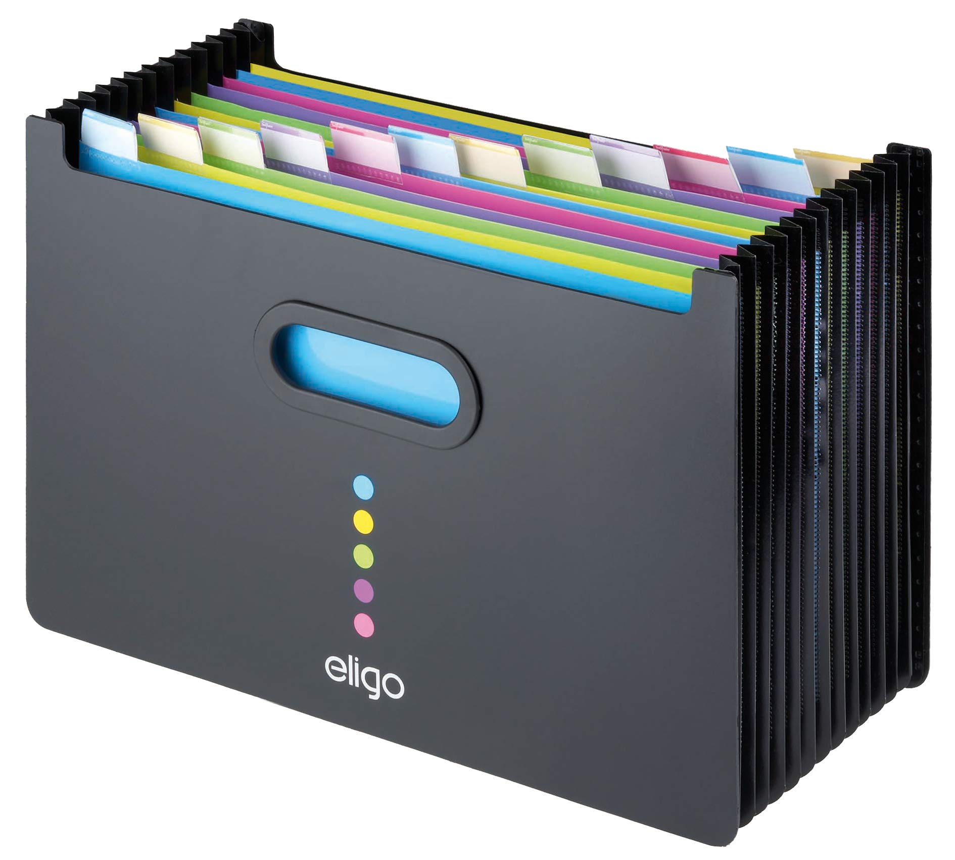 Snopake Foolscap Eligo 13-Part Landscape Desk Expander/Organiser - Black Pack of 1 Ref: 15859 - Amazon Exclusive