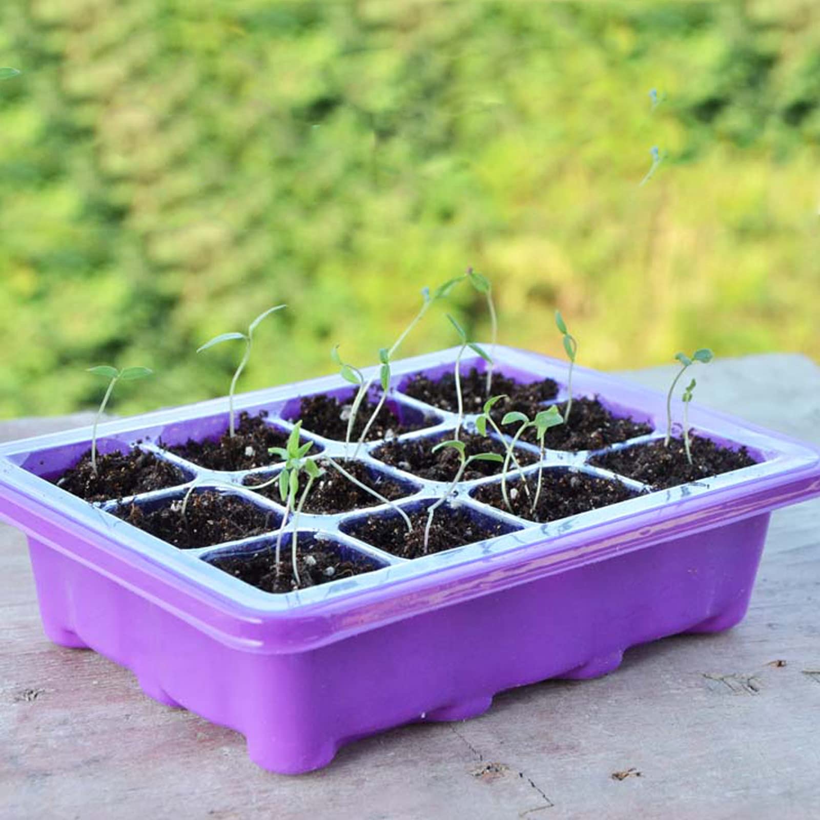 Vassoio per piantine, Set di 8 vassoi per propagatore con Coperchio e Prese d'Aria, Semi Semenzaio Serra 12 Celle Semina Pianta Starter per la Germinazione dei Semi