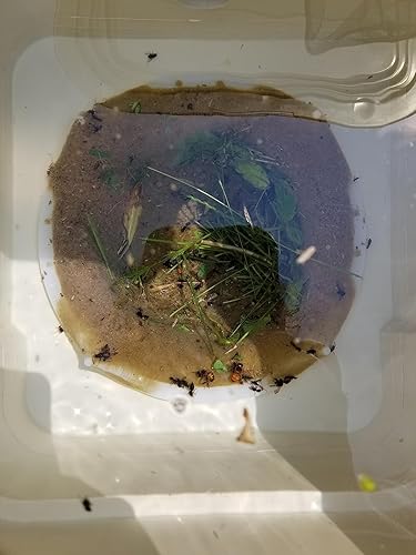 Review Image by FarmMom