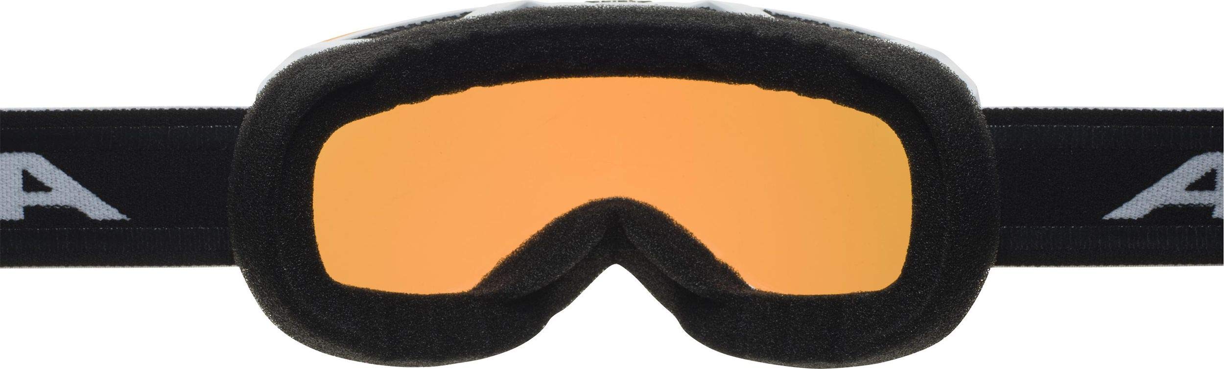 ALPINA Skibrille THAYNES HM