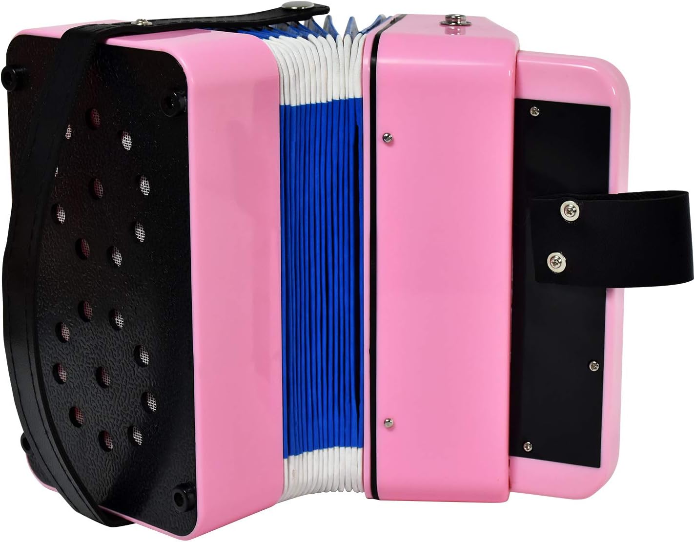 Accordion for Kids 10 Keys Mini Accordion Toy for Boys Girls Beginner Musical Instrument Educational Music Toy Gift for Toddlers 3+ Years Old