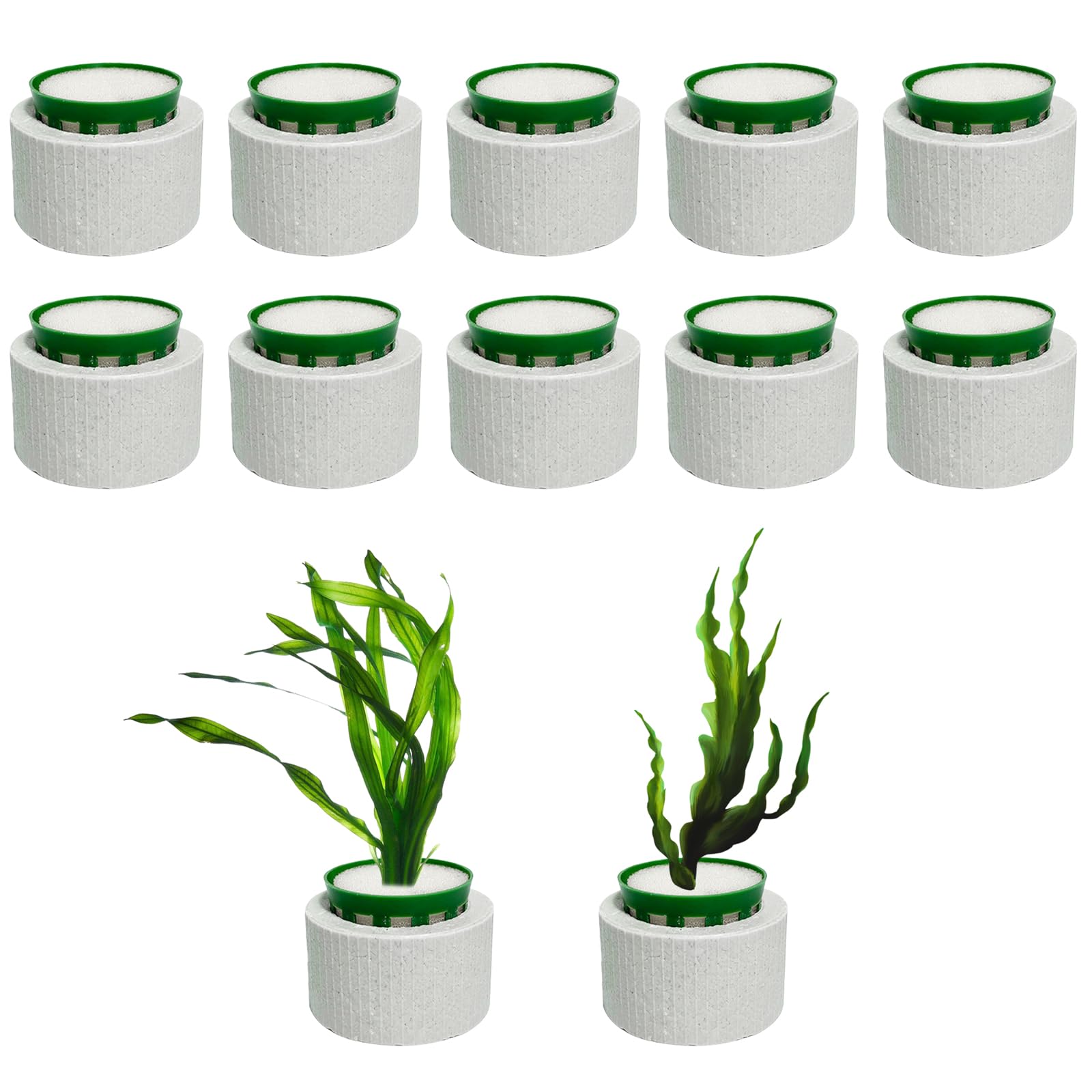 QoTang 12 Pack New Upgrade Aquarium Plant Weights, Aquatic Plants Fixed Ring Set, Anti-Floating Ceramic Aquarium Plant Rings, Aquarium Landscape Decoration Fish Tank Accessories 1.8 x 1.3 Inch