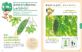 やさいページ やさいぺたぺたかくれんぼ ｜ アリス館