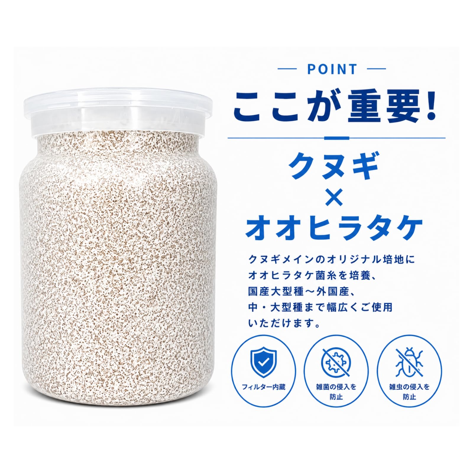 Amazon | 【3個セット】菌糸ビン オオヒラ茸菌 800cc クワガタ幼虫用