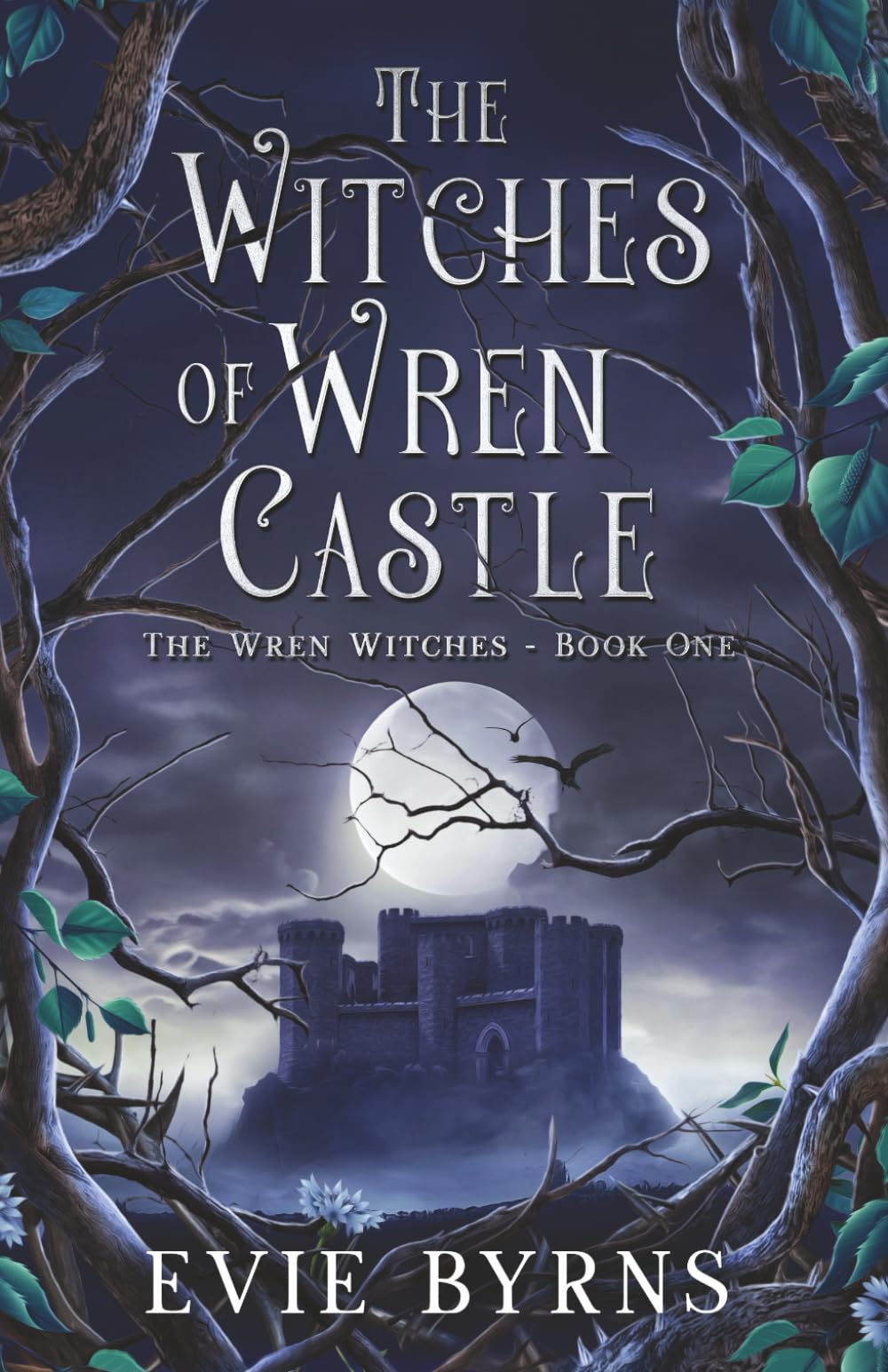 The Witches of Wren Castle: Book One of The Wren Witches