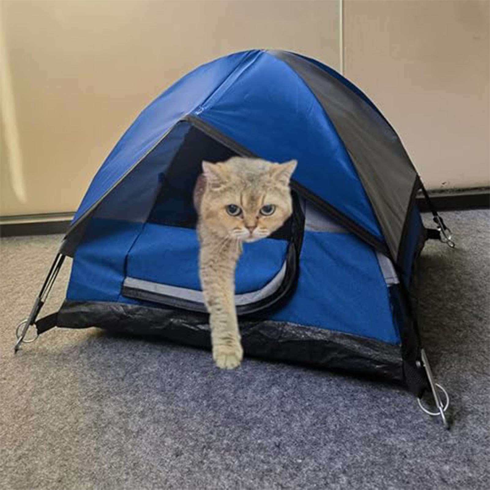 Generico Tenda per gatti, Tenda per gatti da per all'aperto per | Tenda per gatti da esterno, tenda portatile per gatti, cani, piccoli animali, cuccioli