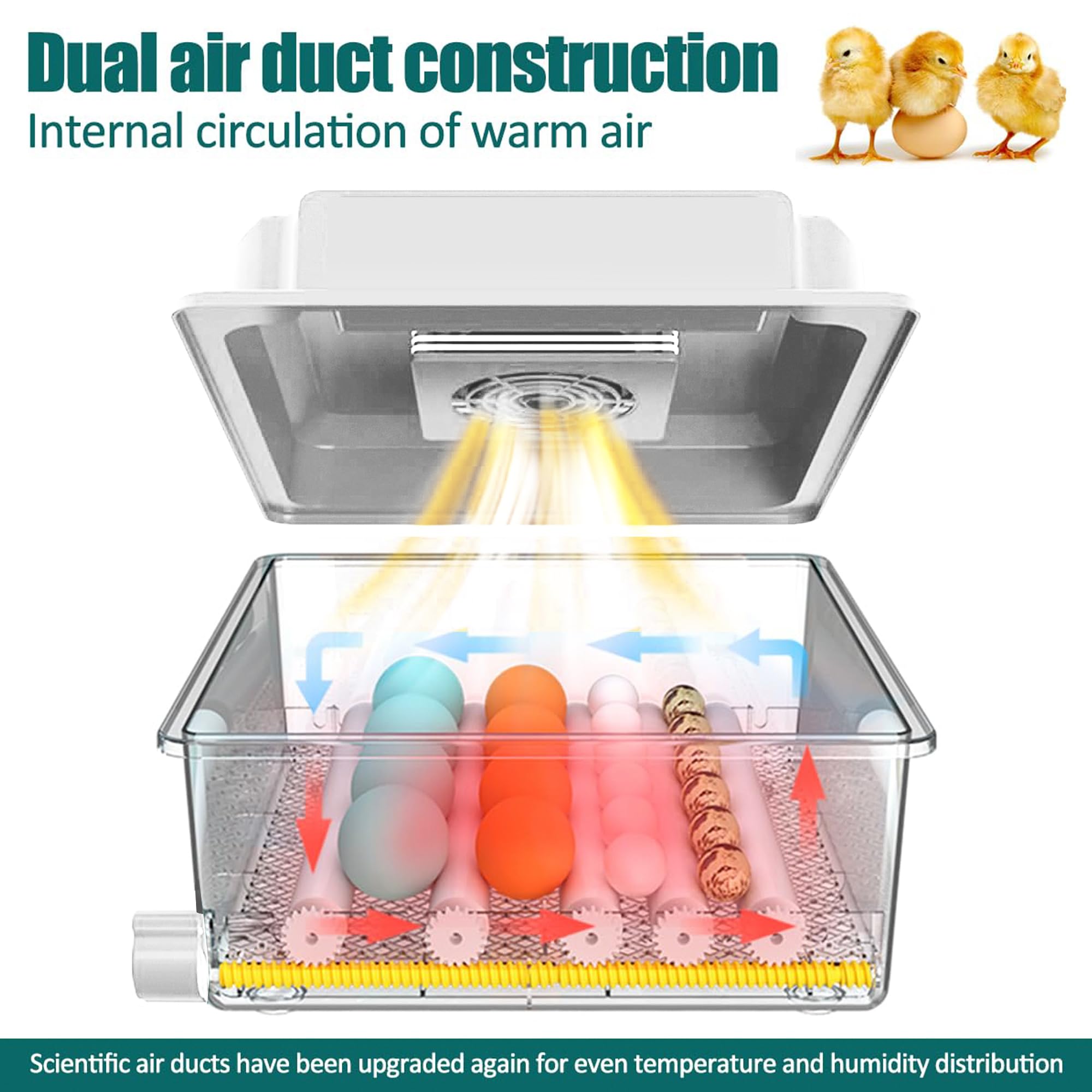Incubatrice Uova Automatica 12-16 Uova con Girauova a Rulli Regolabili, Controllo Temperatura, Aggiunta Automatica dell'Acqua e Sperauova Integrato, Bianco