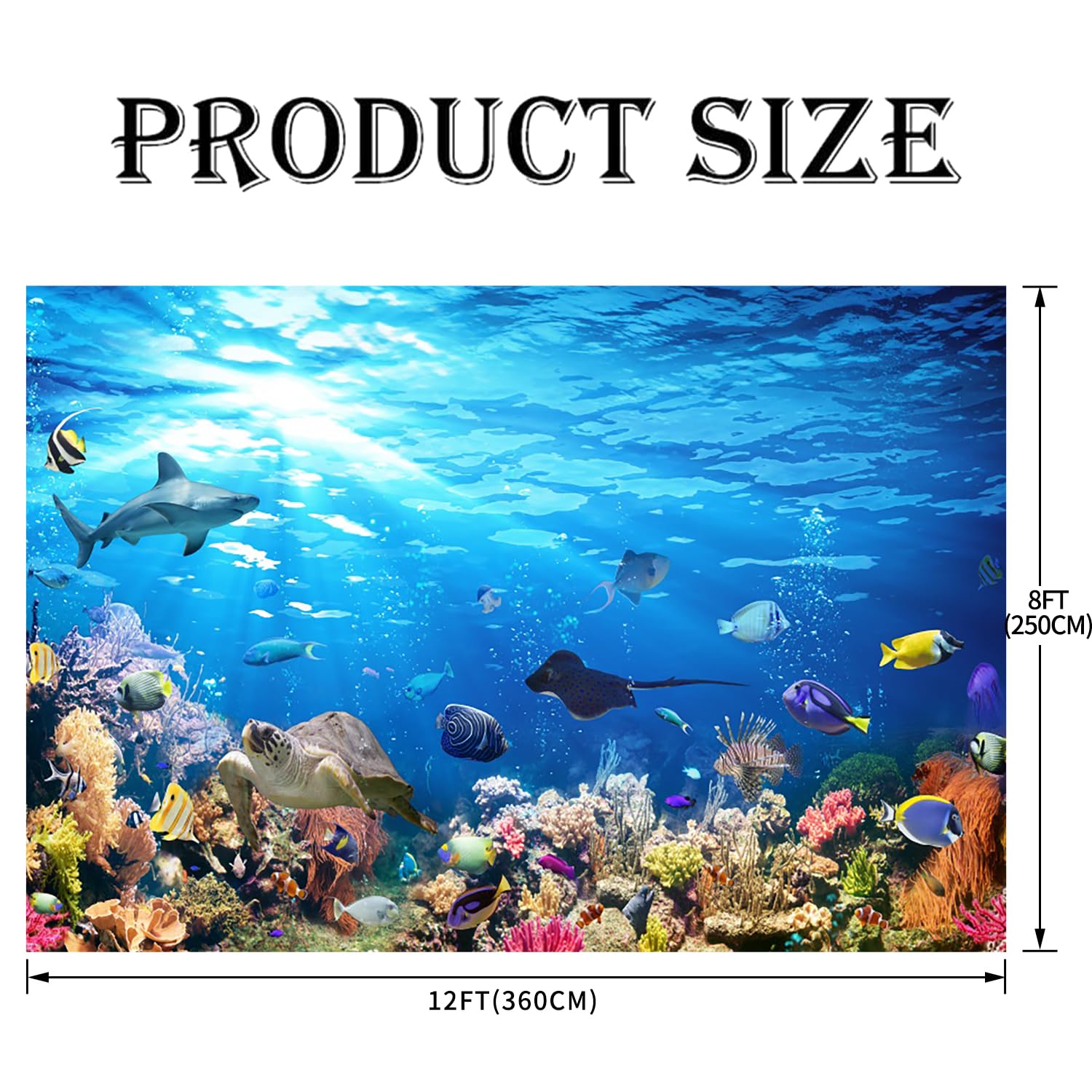 Runder Fotohintergrund "Unter Dem Meer" | 220x220 Cm, Polyester, Für Kindergeburtstag & Fotoshootings