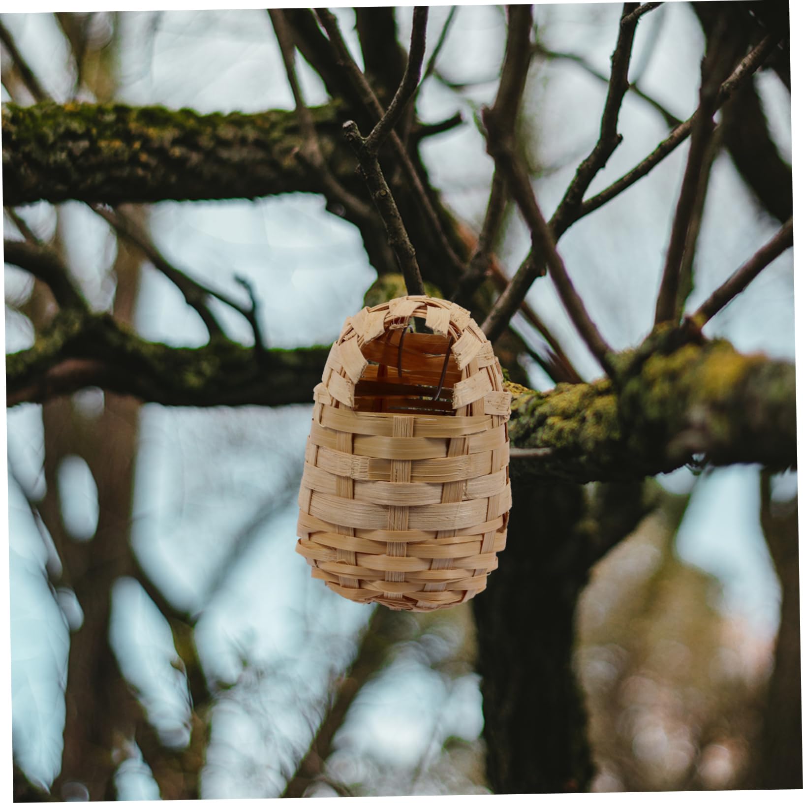 6 Piezas Nido de pájaros de bambú Refugio de pájaros pájaro al Aire Colgante anidando Casas de pájaros para al Aire pájaro cálido de Invierno