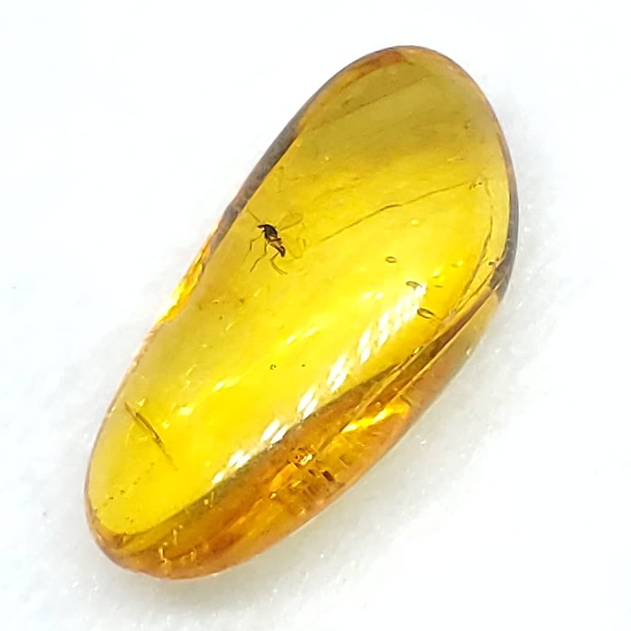 バルト海産　虫入り琥珀　12個セット　全て虫入り　本物保証　良いコンディション バルト海産 虫入り琥珀 12個セット 全て虫入り 本物保証 良い