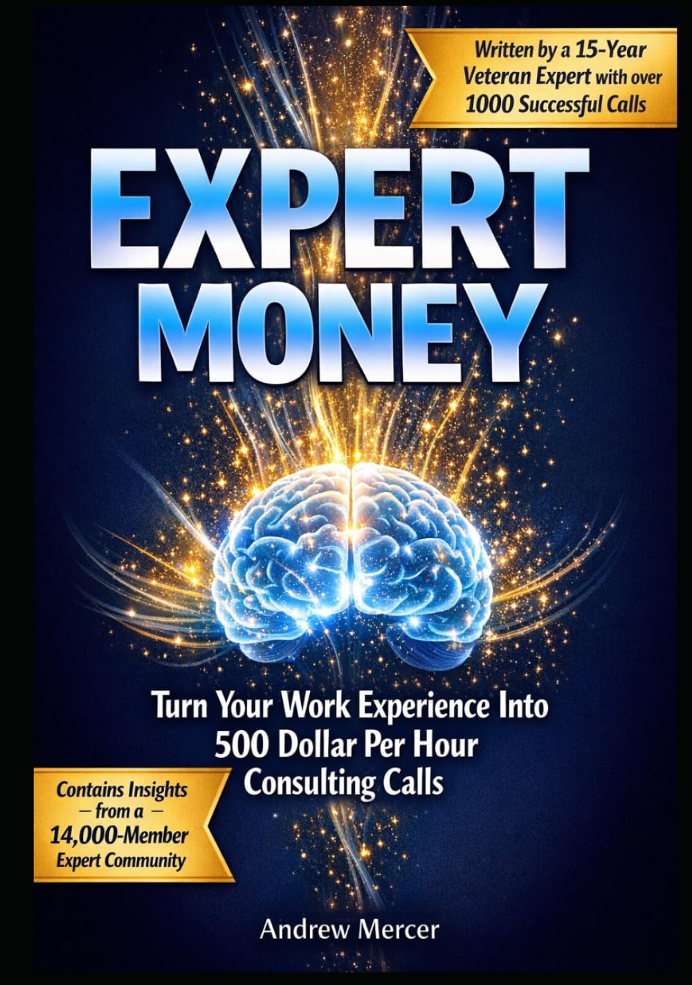 Expert Money: Turn Your Work Expertise into a $500/hr Consulting Business