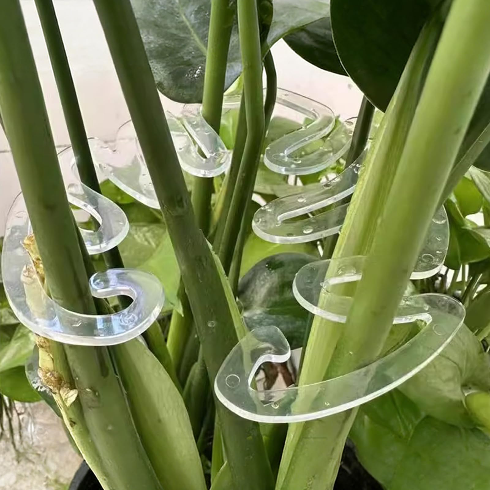 Supporti per Clip Supporto da Giardinaggio Gestione efficiente, Adatti per i Piccoli vasi Che per Le Clip Supporto per Piante in plastica per l ' Agricoltura Larga