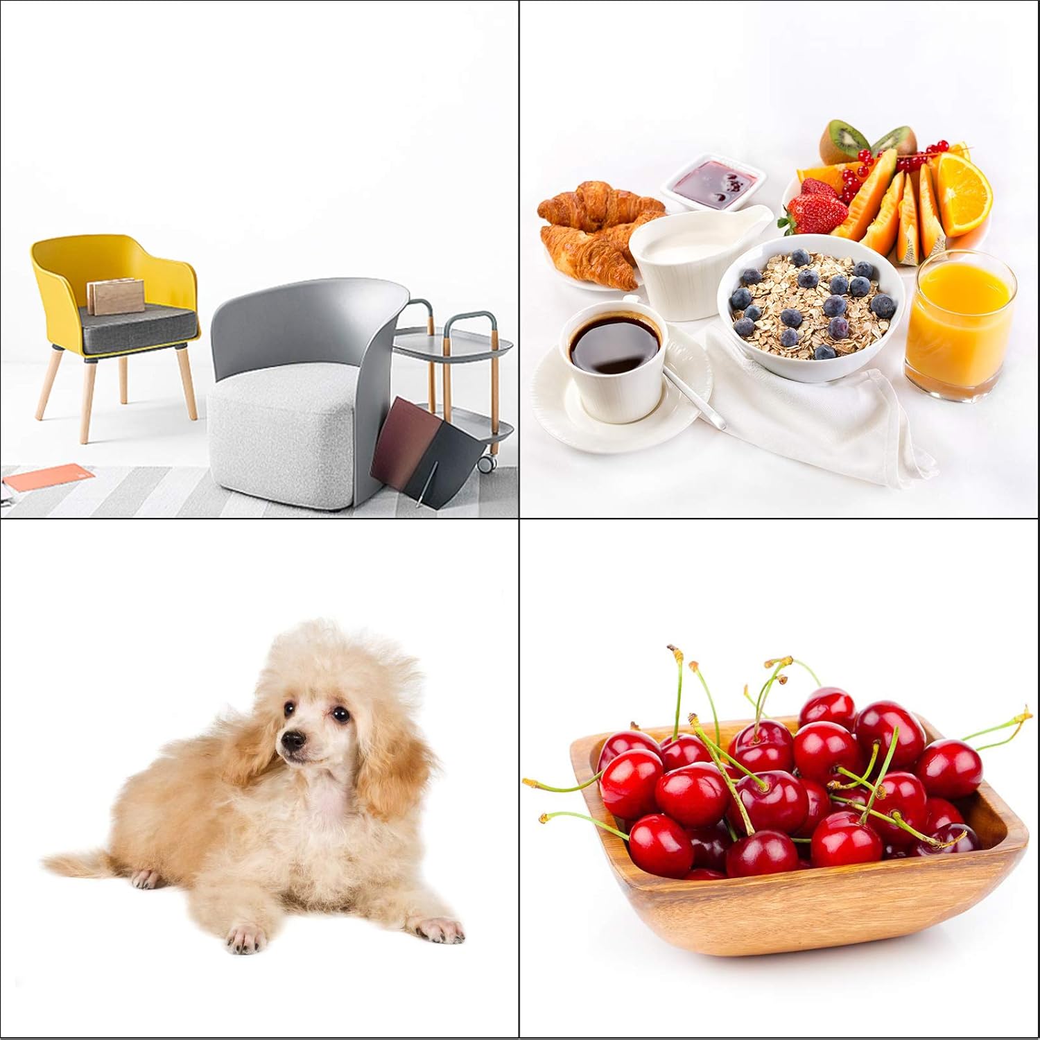 BOLLUMA Seamless Background Paper Backdrop 1.35x10m / 4.4x32.8ft, Arctic White, 93, Photo Studio Paper Roll for Portrait, Product, Pet, Family Photography Shooting, Video Filming 5 71rzDE14aBL. AC SL1500