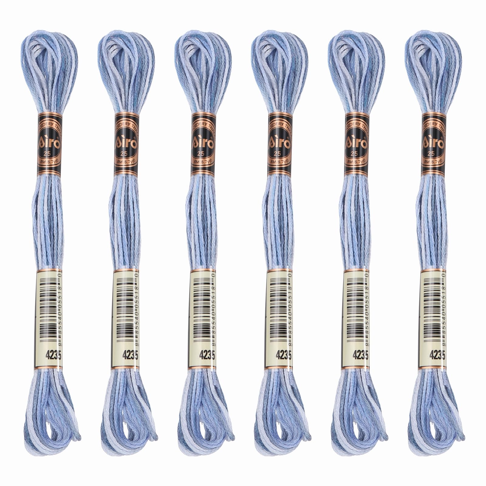 PATIKIL 6 Skeins Embroidery Floss, Polyester Embroidery Threads Bracelets String for Cross-Stitch Hand Embroidery, Blue Purple